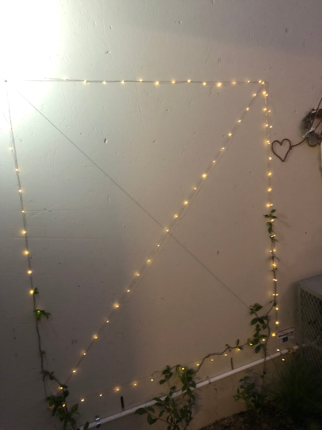 Customer photo review of Litehouse Solar LED Copper Wire Fairy Lights Warm White