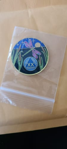 Customer photo review of 1 to 60 Year Dragonfly 9th Step Specialty AA Recovery Medallion - Tri-Plated Chip/Coin