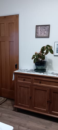 Customer photo review of Raphael 58'' Wide 3 Drawer Sideboard