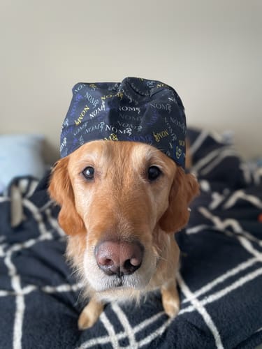 Customer photo review of NOMV Scrub Cap