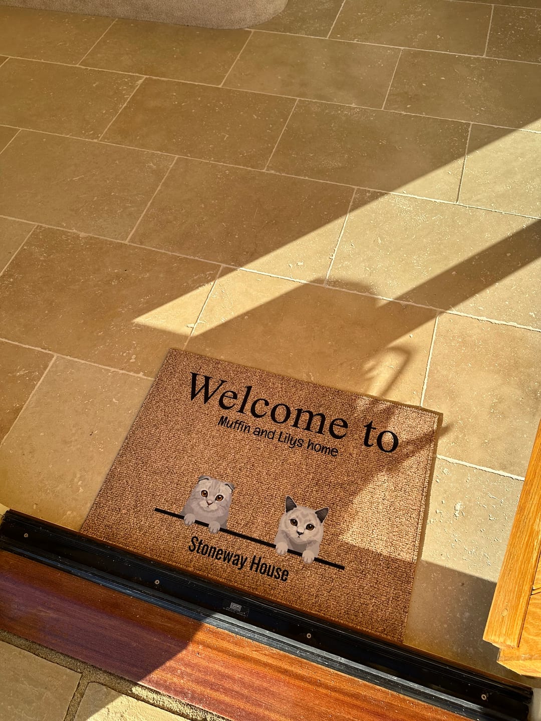 Customer photo review of All my furry friends - Personalised doormat