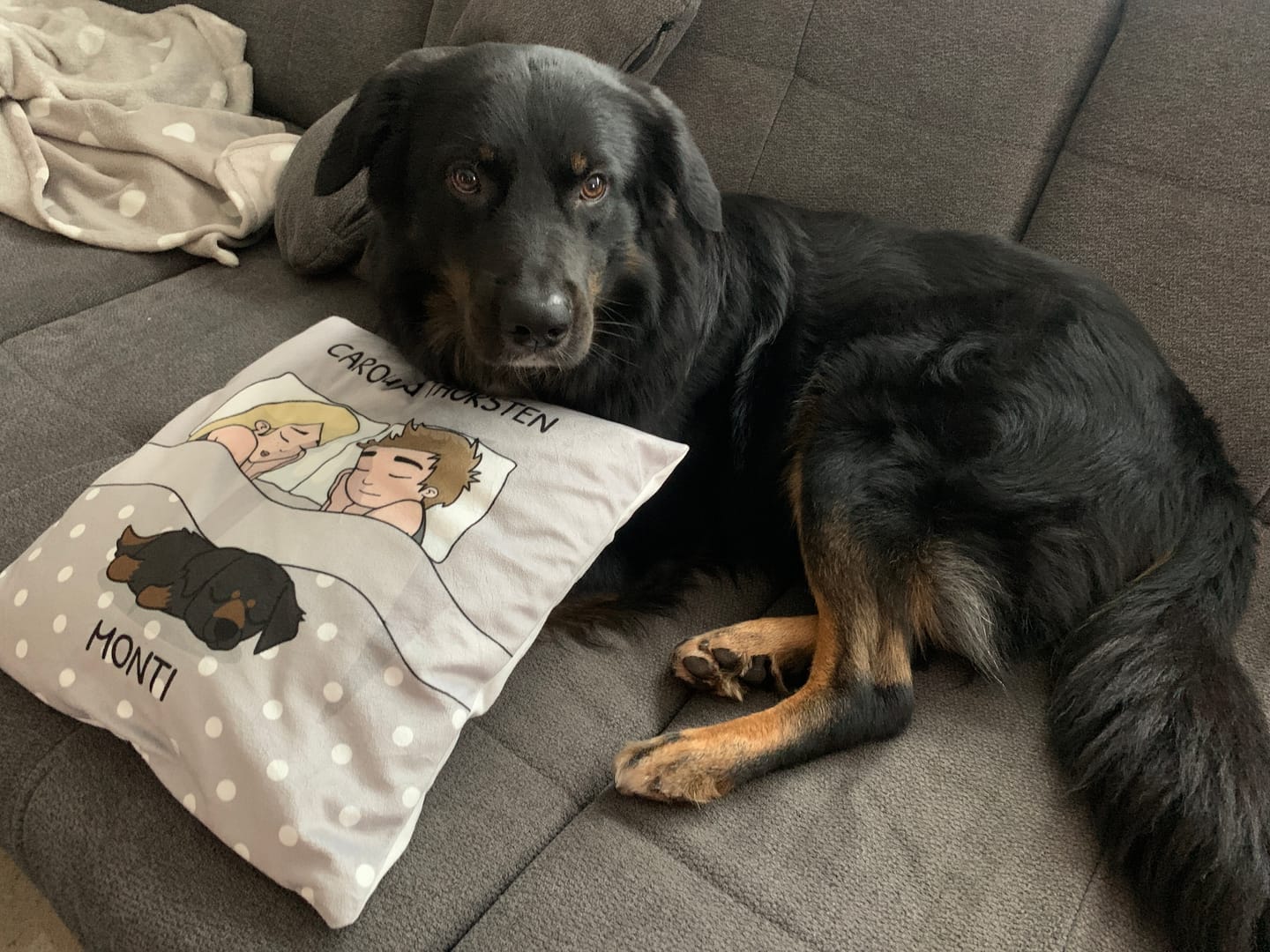 Customer photo review of Kuschelzeit mit Fellnasen - Individuelles Kissen