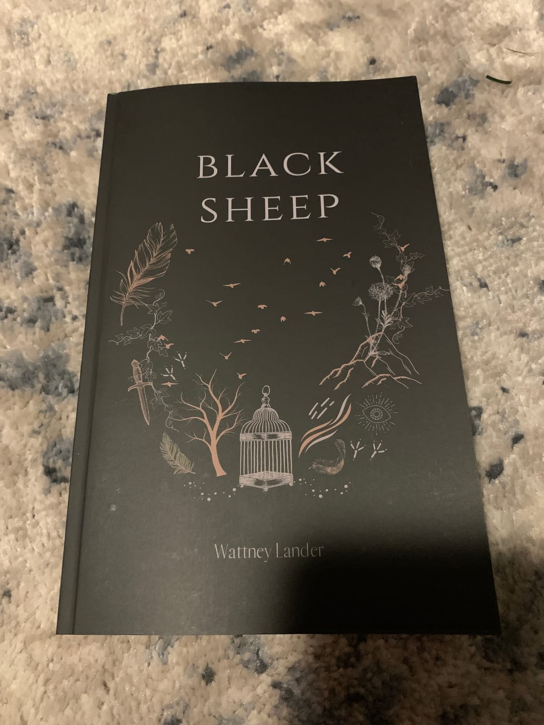 Customer photo review of Black Sheep