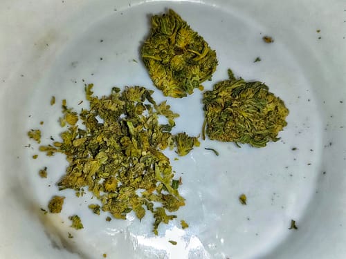 Customer photo review of 🍋👑 Lemon King x 20%HHC