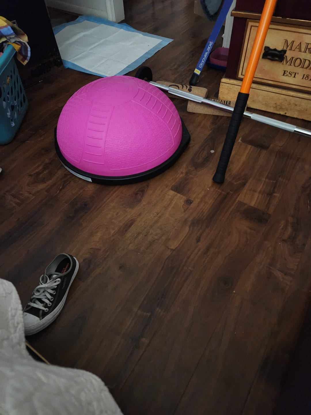 Customer photo review of Limited Edition Pink BOSU® NexGen™ Home Balance Trainer