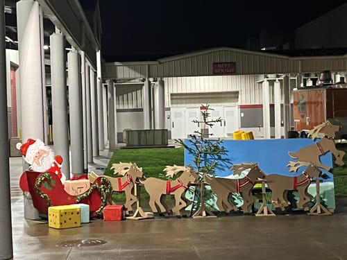 Customer photo review of Joseph Ribkoff Black/Toffee Animal Print Sweater Culotte Pants 223949 NEW