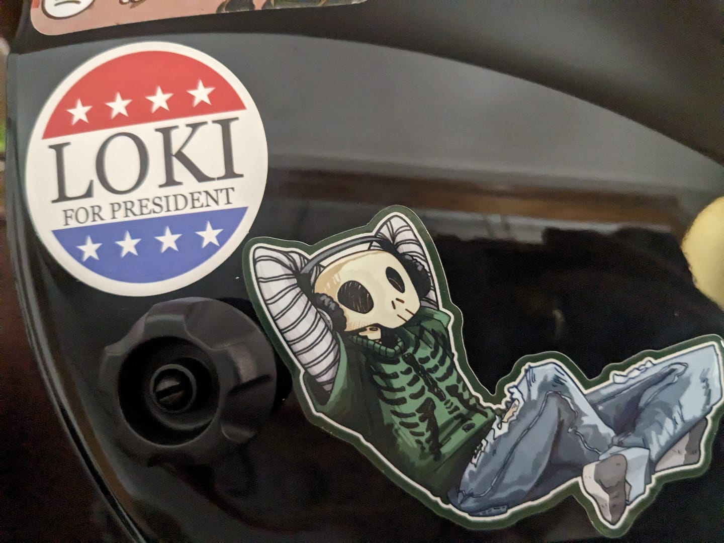 Customer photo review of Aesthetic Skeleton Stickers