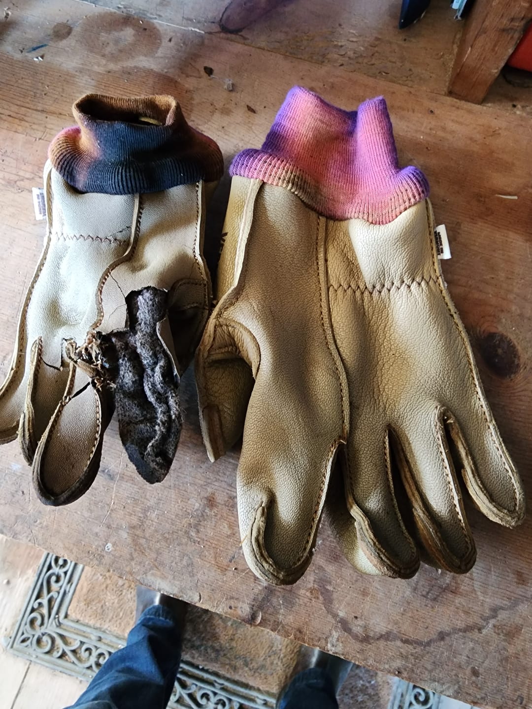 Customer photo review of Tuttle