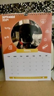 Customer photo review of PUPVOTE: 2024 Cutest Pet Calendar (Official Edition)