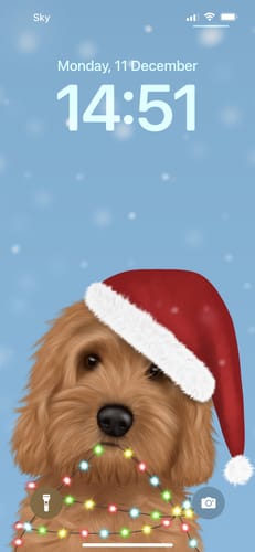 Customer photo review of Cockapoo in Santa Hat Phone Wallpaper