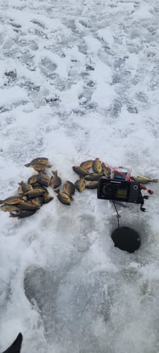 Customer photo review of Custom Carbon Ice Rod