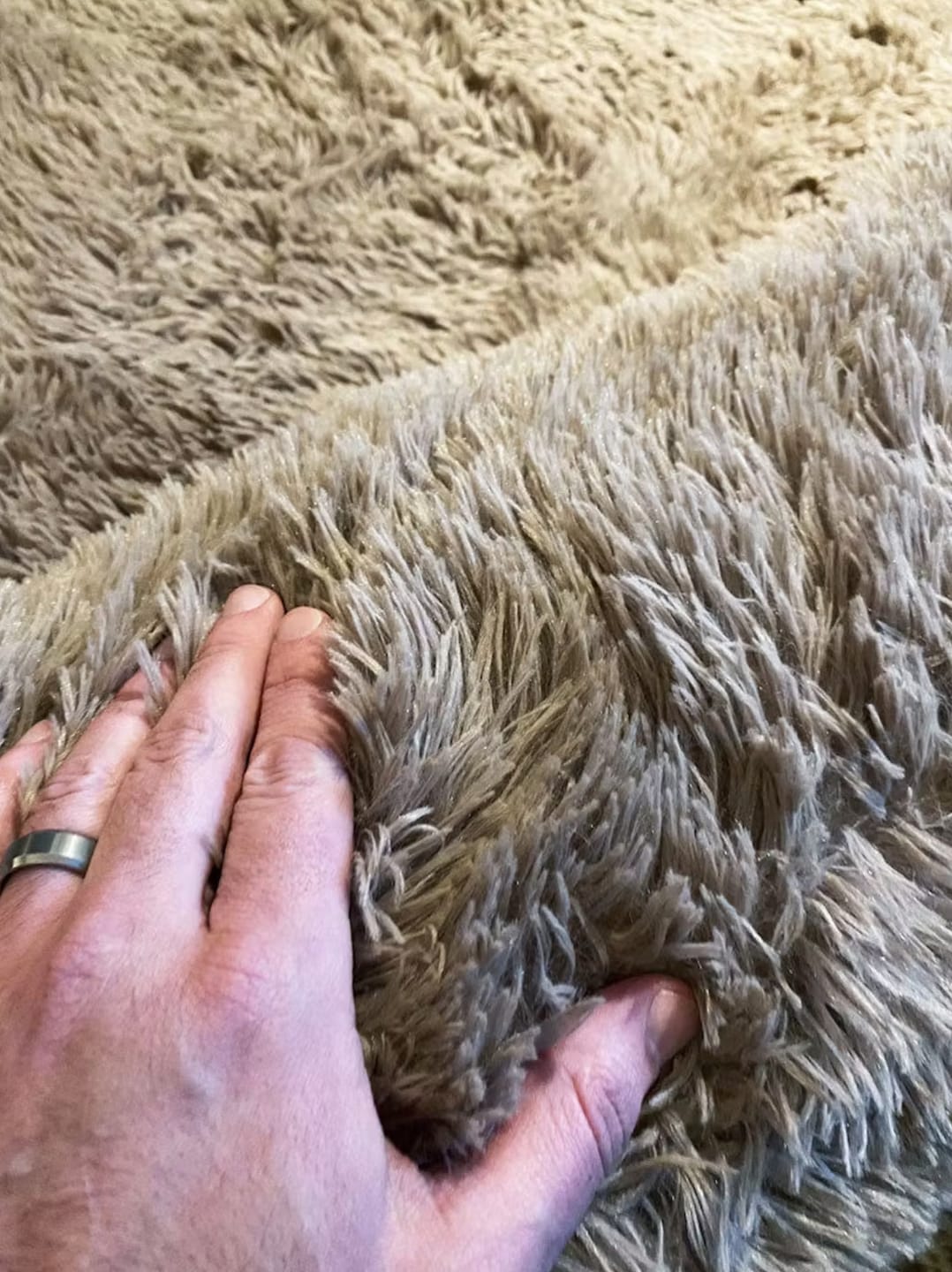 Customer photo review of Human Dog Bed