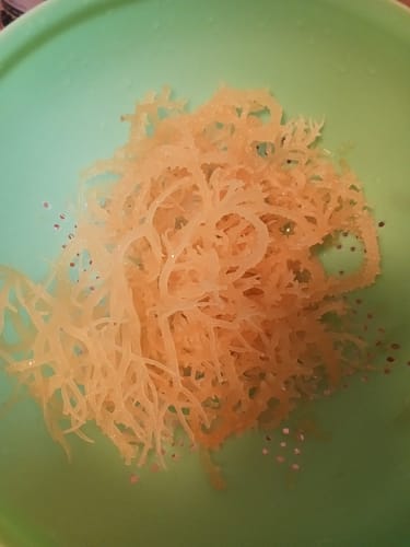 Customer photo review of Whole Leaf Irish Moss Sea Moss 8 Oz | Raw Superfood (SeaMoss)