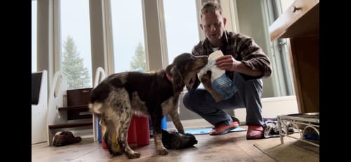 Customer photo review of GrubTerra Dog Treats