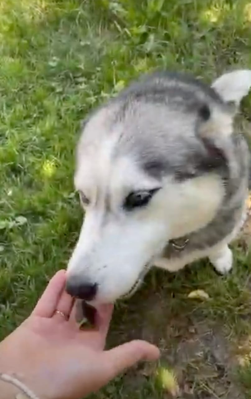 Customer photo review of Power Move
