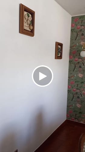 Customer video review of Papel mural Botanique verte