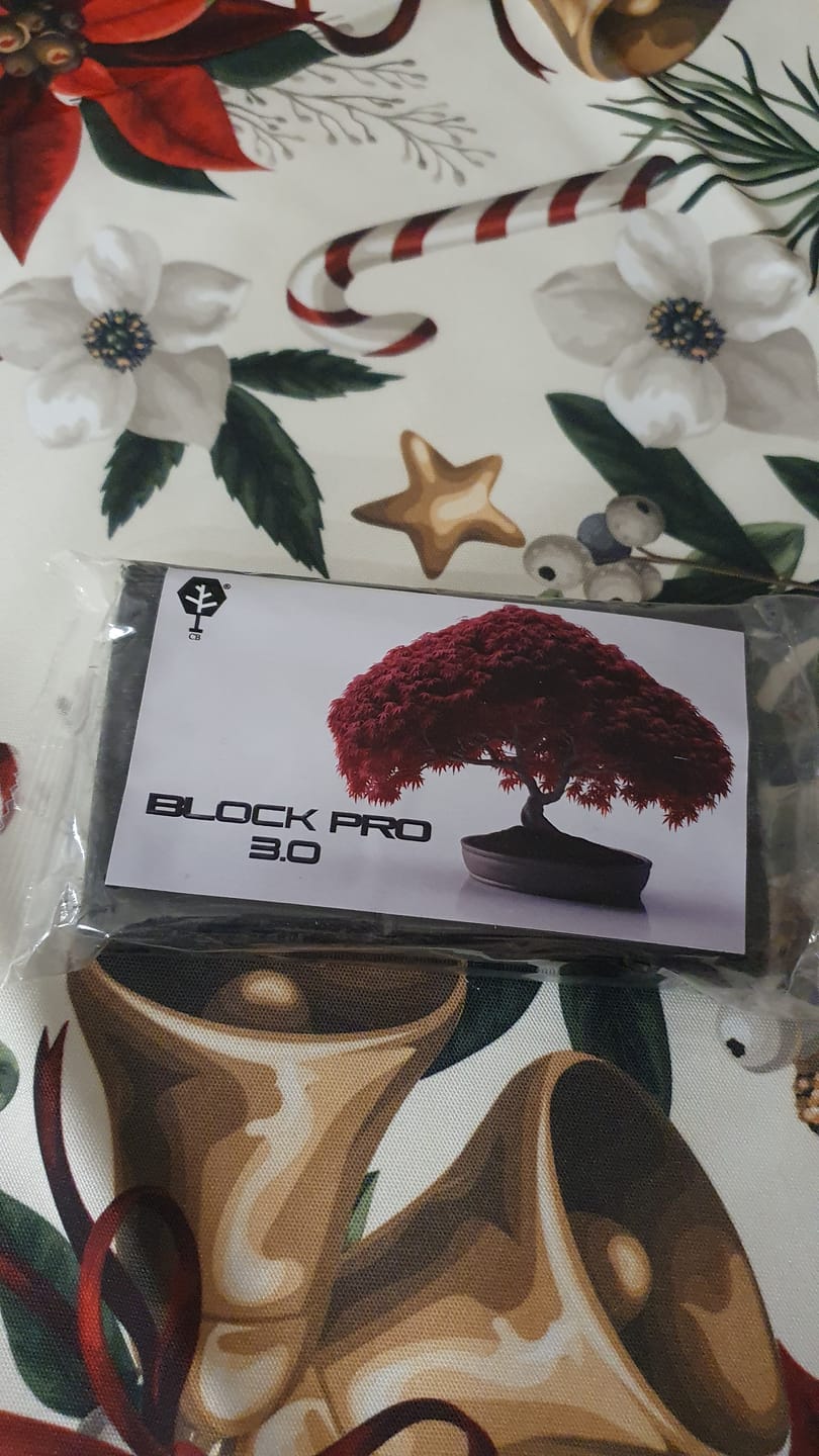 Customer photo review of BLOCK PRO 3.0 CB® MASTICE PROFESSIONALE PER BONSAI 400 gr