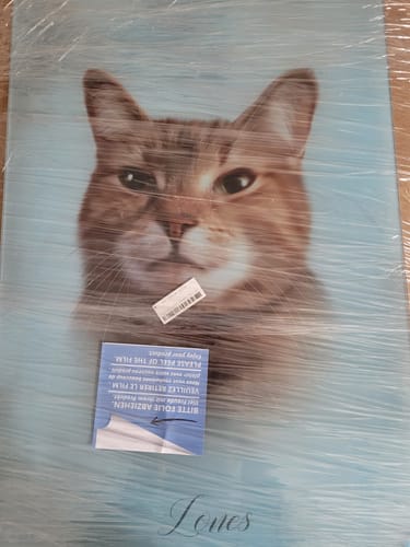 Customer photo review of Öl Pawtrait