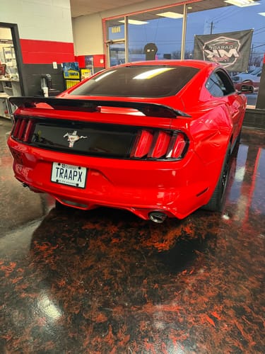 Customer photo review of GT500 Style Rear Wing - 2015-2023 Mustang 6th Gen 2.3L Ecoboost, 3.7L V6, 5.0L GT