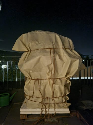 Customer photo review of Winterschutz für Kübelpflanzen "Jumbo" H 200 x B 240 cm