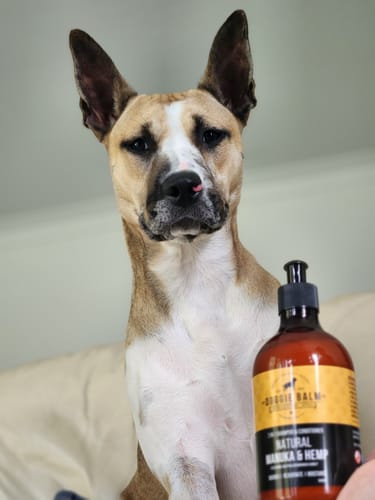 Customer photo review of DoggieBalm Natural Manuka & Hemp Shampoo and Conditioner