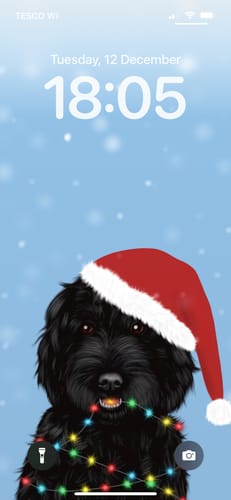 Customer photo review of Black Cockapoo in Santa Hat Phone Wallpaper