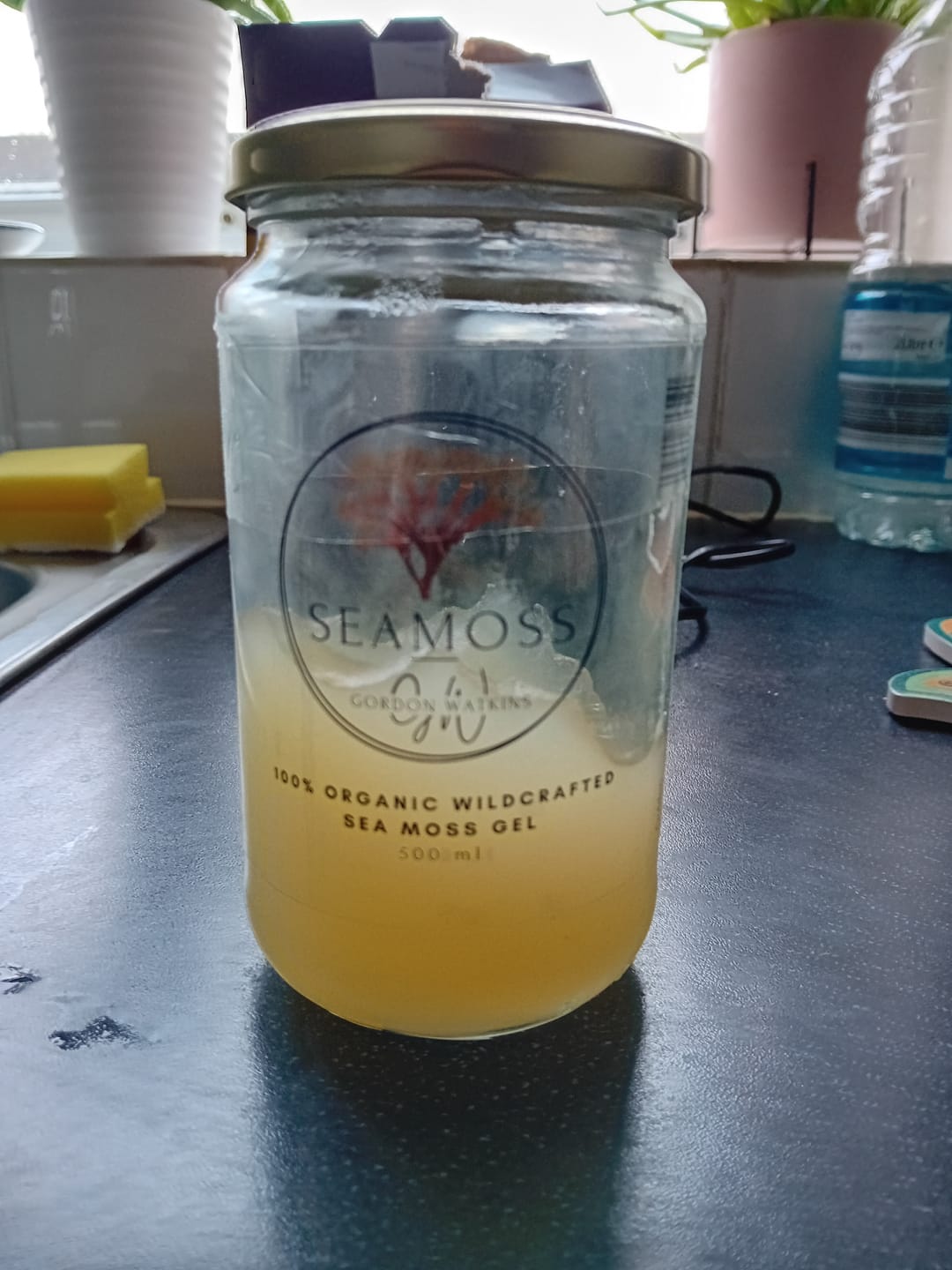 Customer photo review of Gold Sea Moss Gel - Made With Certified Organic Wildcrafted Sea Moss