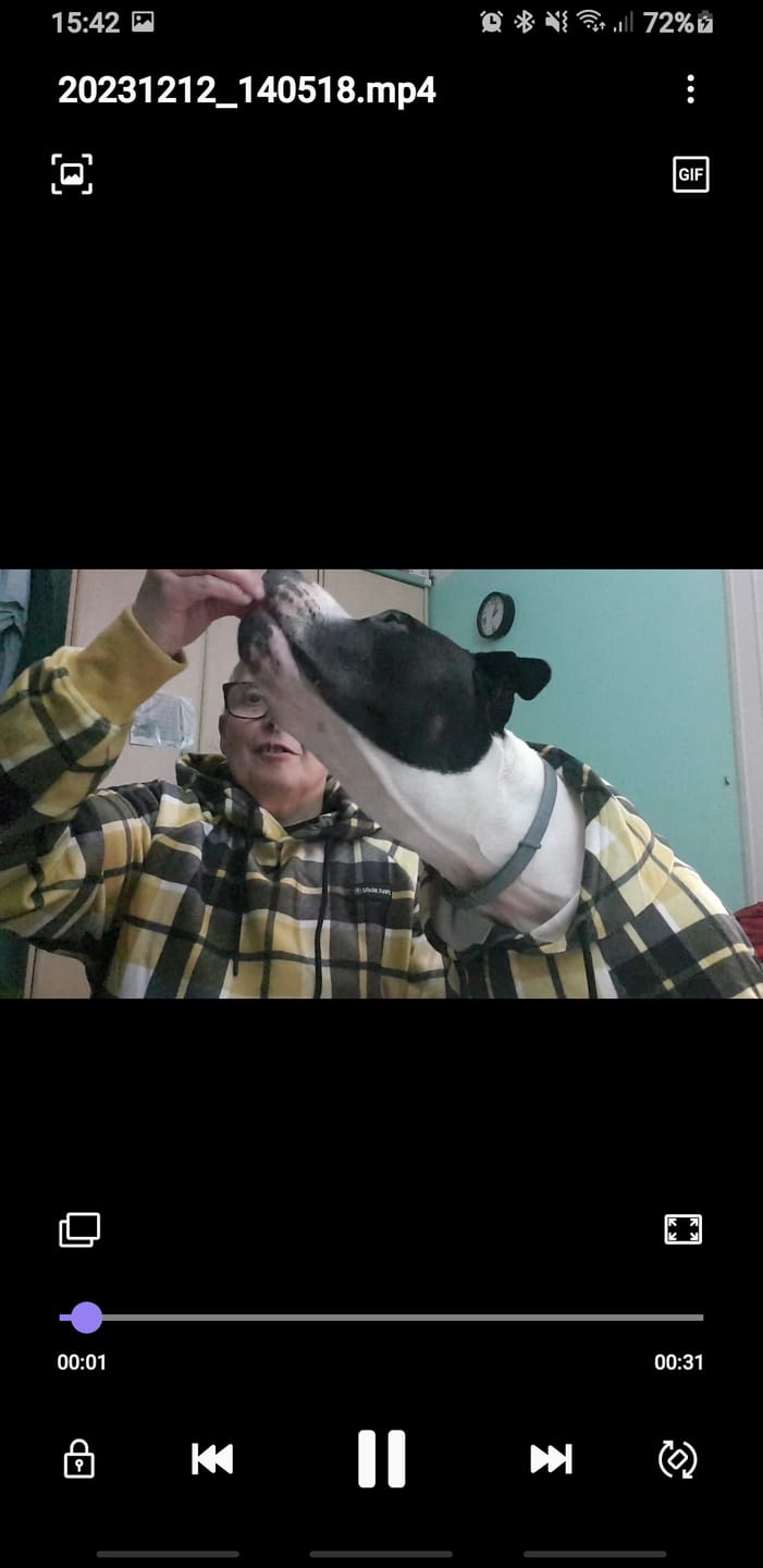 Customer photo review of Yellow Plaid Human Hoodie