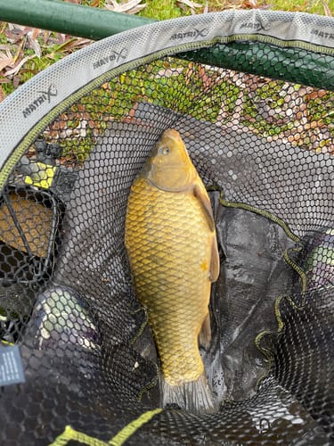 Customer photo review of BAND'UM WAFTER 6mm, 8mm, 10mm