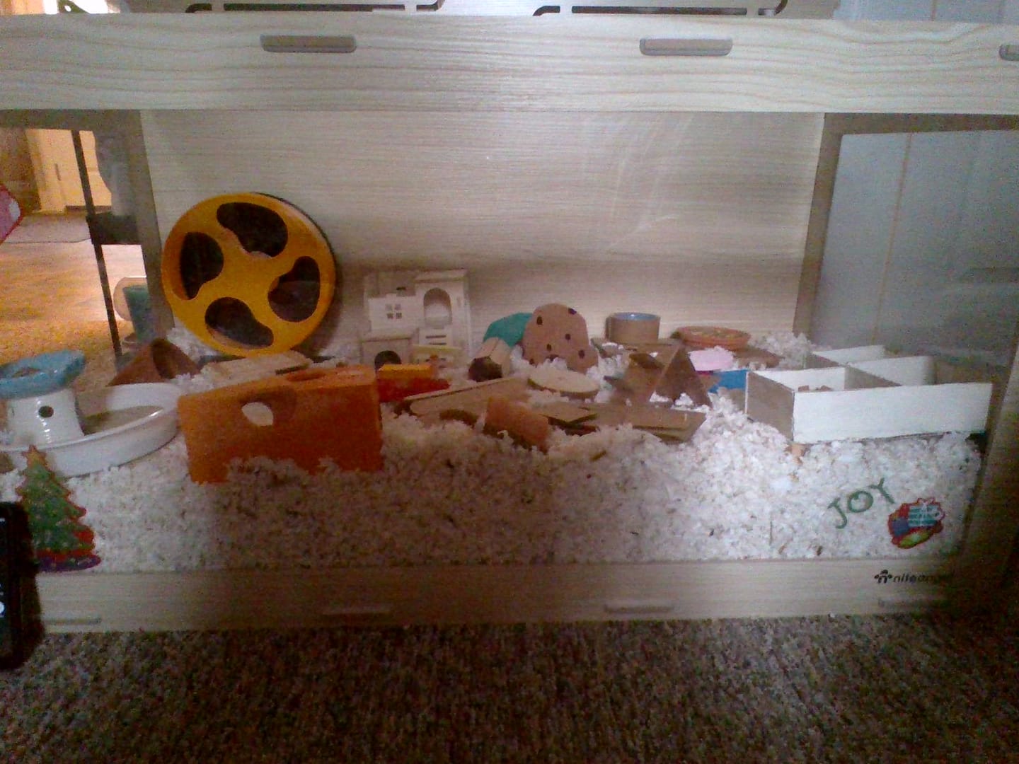 Customer photo review of Niteangel Stacker Series Hamster Cage: - Stackable & Large Glass Terrarium (ca. 558 Sq In) for Hamster  or other Small-sized Pets
