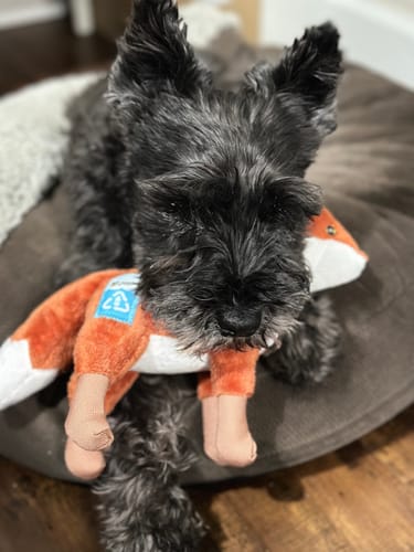 Customer photo review of Clean Earth Plush - 100% Sustainable