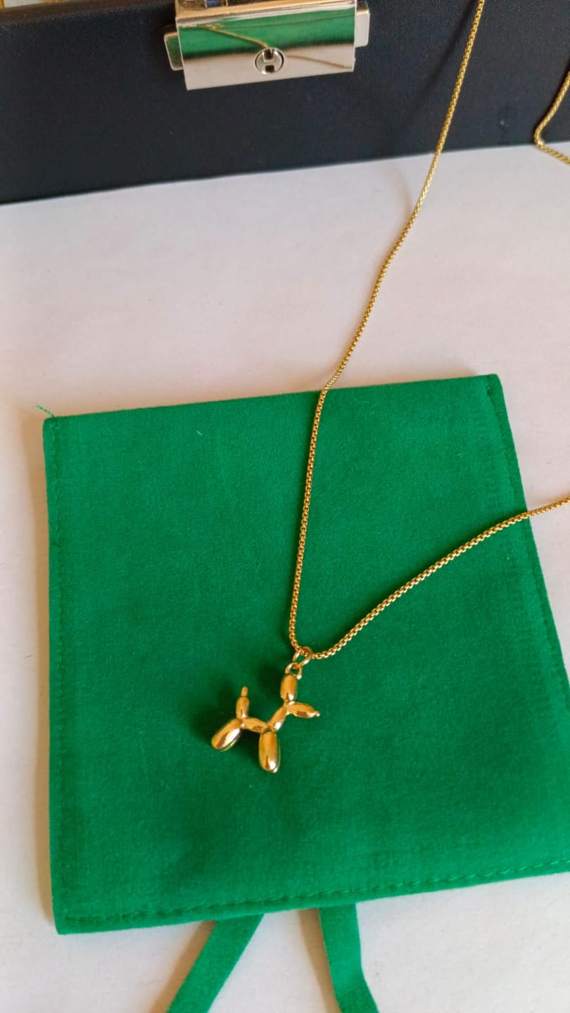 Customer photo review of Collar Doggy
