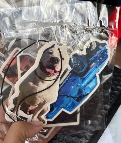 Customer photo review of Four Custom Air Fresheners