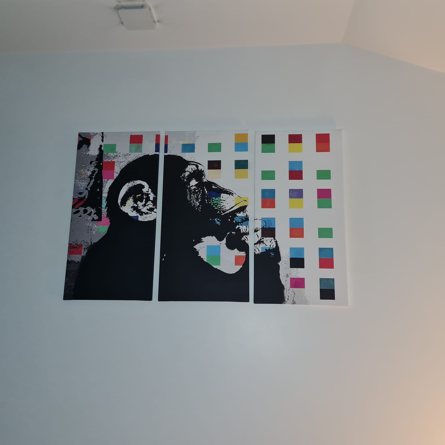 Customer photo review of Tableau Triptyque Singe (Banksy)