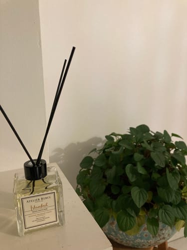 Customer photo review of Istanbul Geurstokjes 120ml