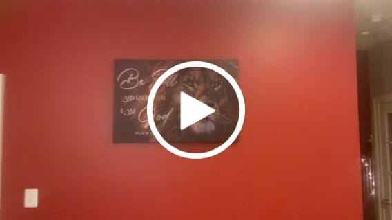 Customer video review of Lion of Judah, Be still and know that I am God wall art canvas