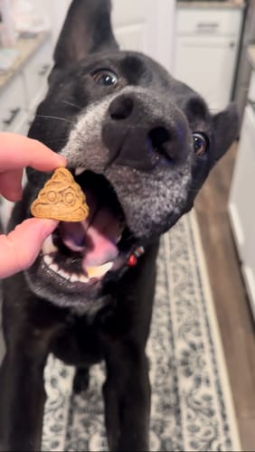 Customer photo review of * SALE* Naughty or Nice Holiday Treats