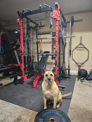Customer photo review of Major Fitness SML07 All-In-One Home Gym Smith Machine