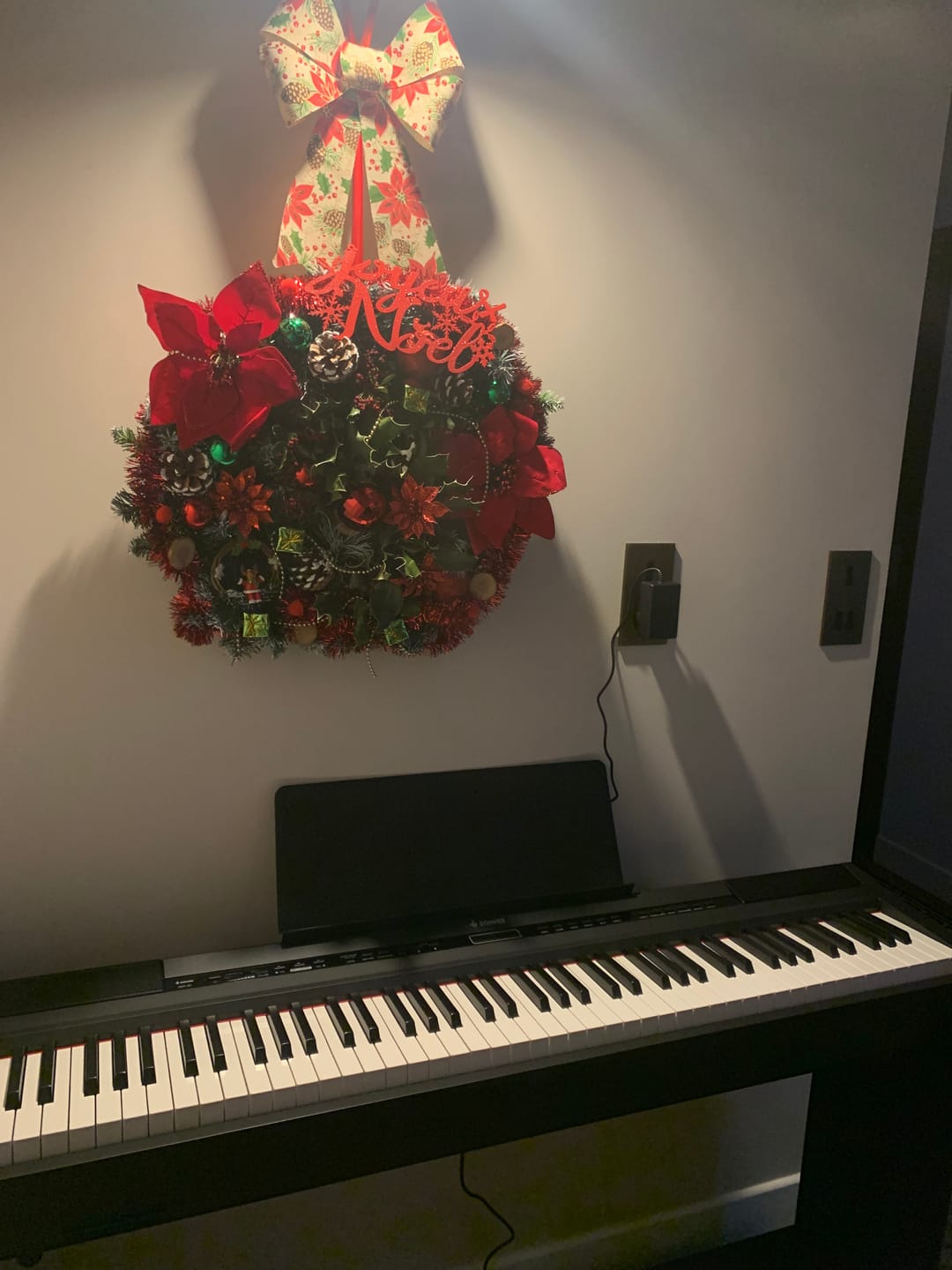 Customer photo review of Donner DEP-20 88 touches lestées Clavier de Piano numériques avec support et 3 pédale