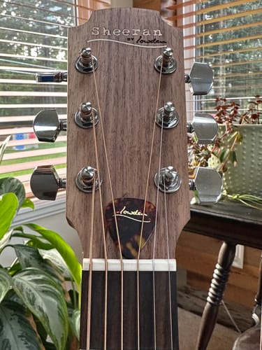 Customer photo review of Lowden Picks Celluloid - 12 Pack