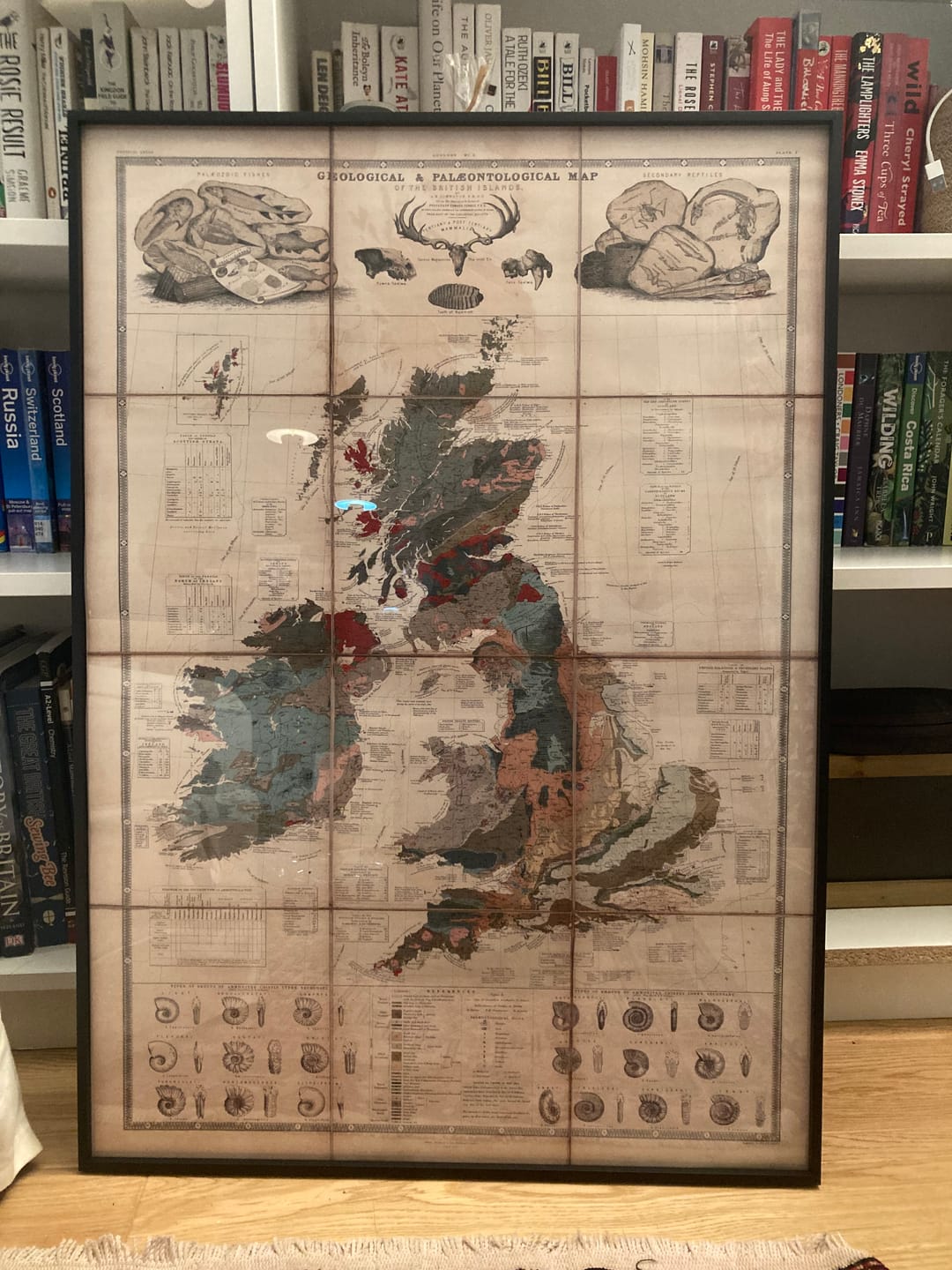 Customer photo review of Old Geology & Fossil Map of the British Isles, 1854, by A.K. Johnston and Edward Forbes - UK, Scotland, Ireland, Palaeontology