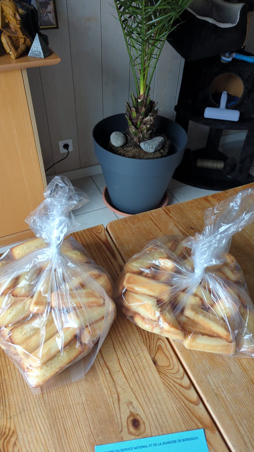 Customer photo review of Financiers en sac vrac (1Kg)