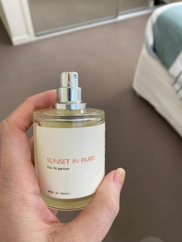 Customer photo review of Sunset in Paris