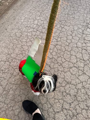 Customer photo review of Upload your own PNG