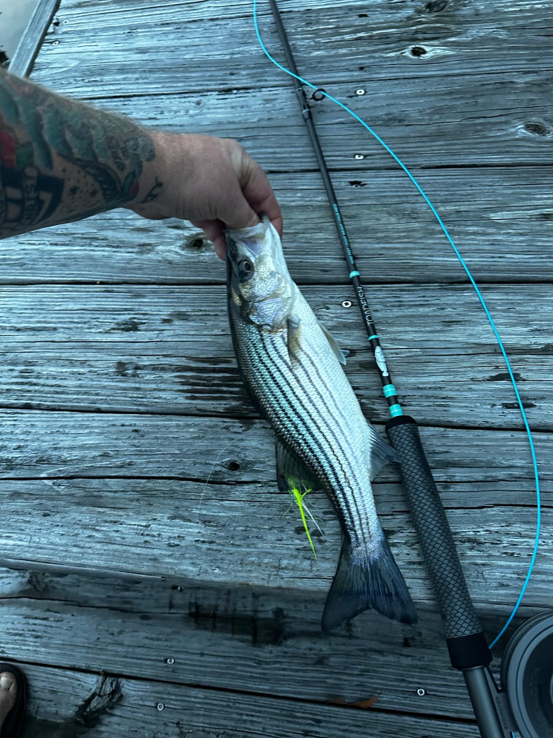 Customer photo review of Fly Rod