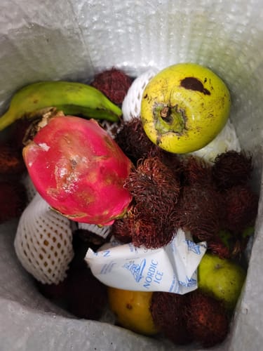 Customer photo review of Tropical Variety Box