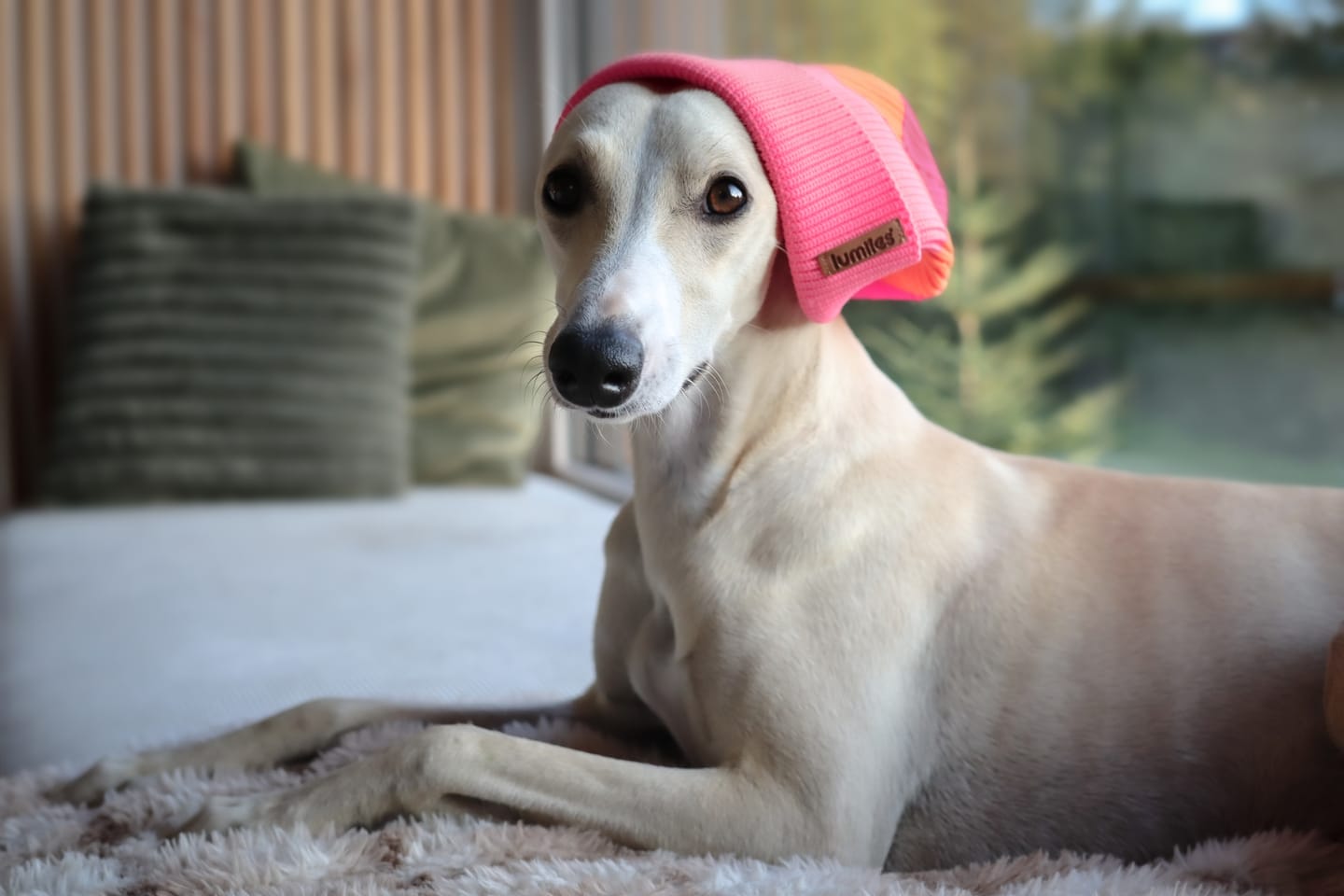 Customer photo review of THE GLOW BEANIE