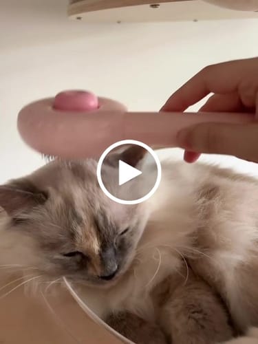 Customer video review of AIWO艾窩 甜甜圈寵物針梳 一鍵除毛 寵物梳