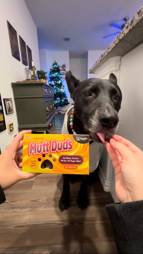 Customer photo review of Boxed "Candy" Treats