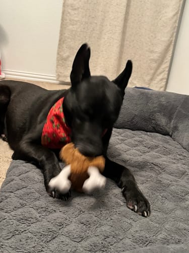 Customer photo review of Knuckleheads 2-in-1 Toy